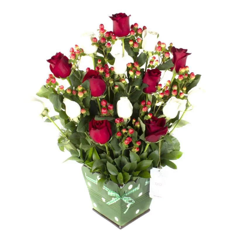 Jardín de Rosas mix blanco rojo - Arreglo floral con 15 rosas mix blanco rojo e hypericum