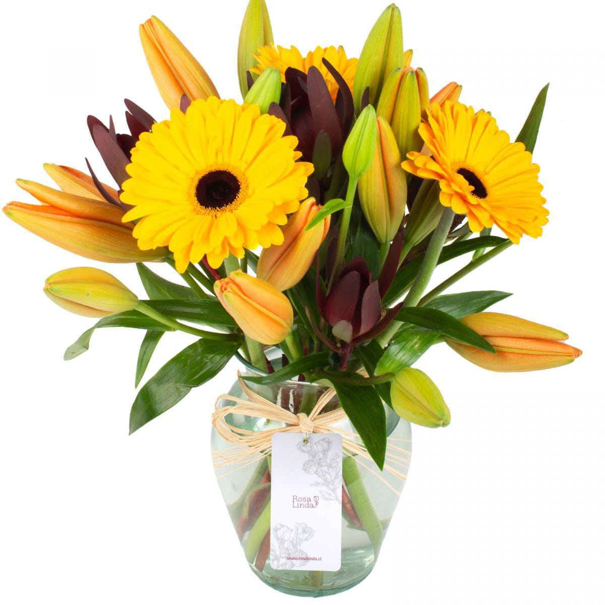 Daisy Amarillo Naranjo - Florero transparente con liliums naranjo, gerberas amarillas y leucadendros - Imagen 1