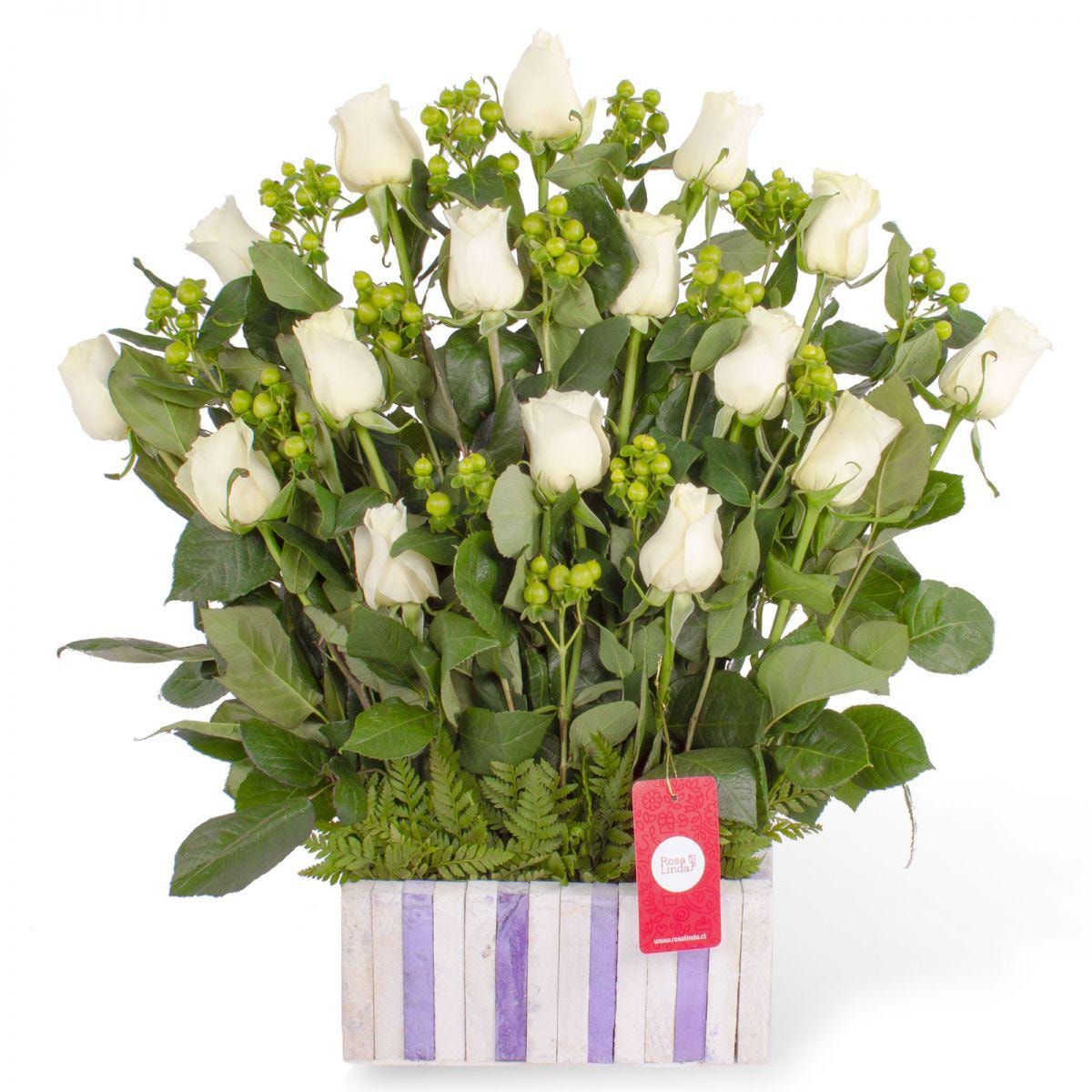 Jardín de Rosas Blanco - Imagen 1