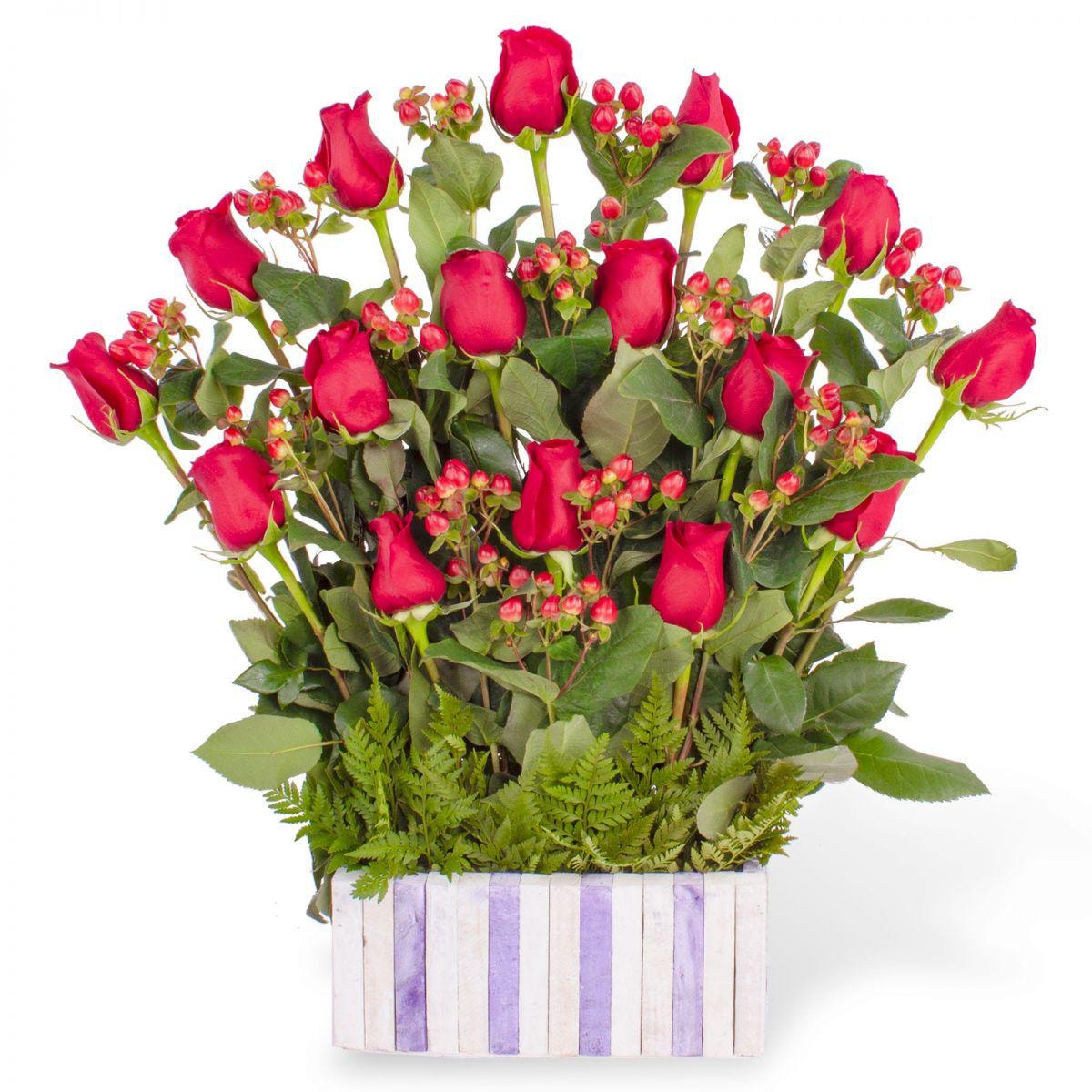 Jardín de Rosas Rojas - Imagen 1