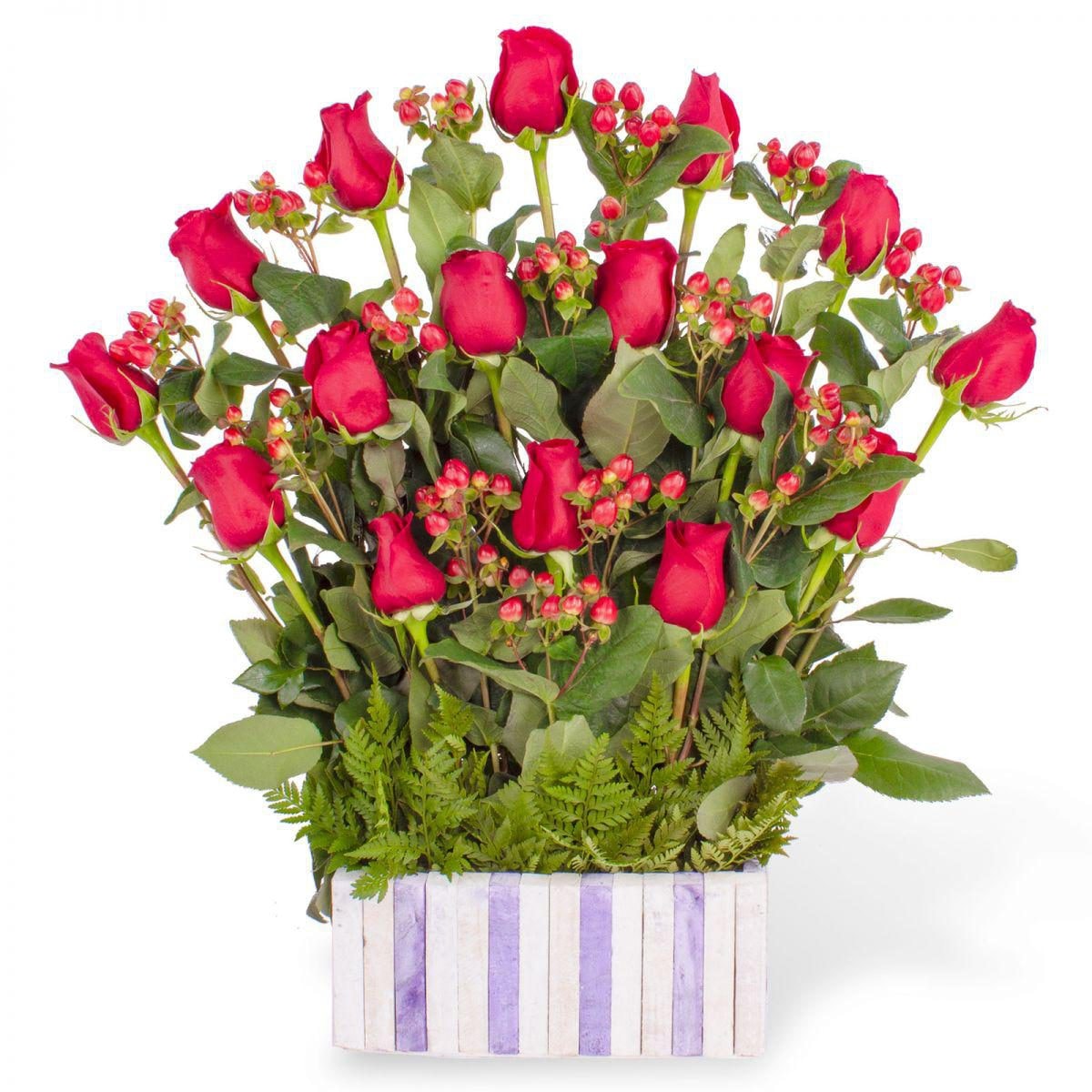 Jardín de Rosas Rojas - Imagen 1