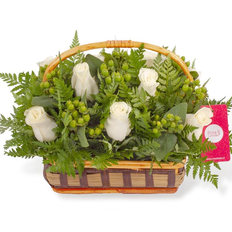 Ternura Blanco - Canasto con rosas blancas e hypericum verde - Imagen 1