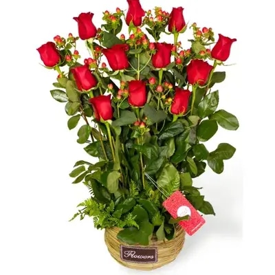 Jardín de rosas rojo
