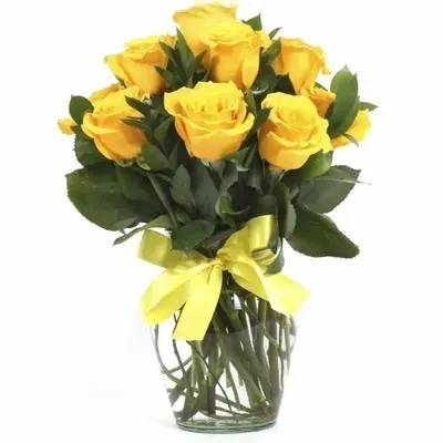 Pequeño Amparo - Florero de vidrio tipo ánfora con 12 rosas