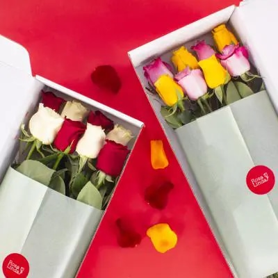 Rosas en Caja - FlowerBox Rosalinda