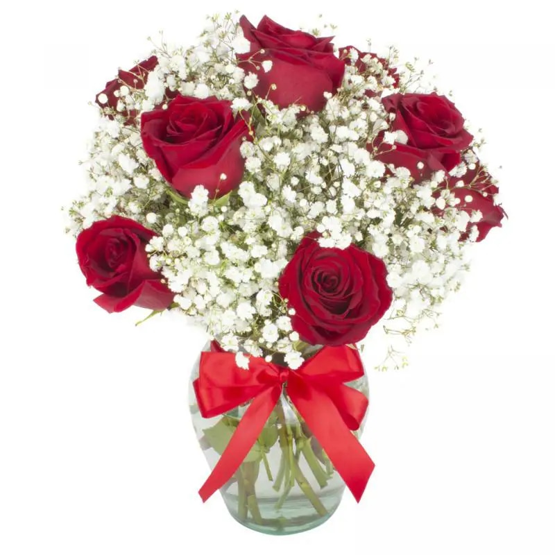 Florero con 10 rosas ecuatorianas rojas y gypsophilia