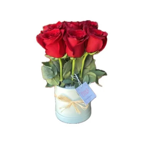 Tomasito rojo en sombrero decorado con piedrecitas