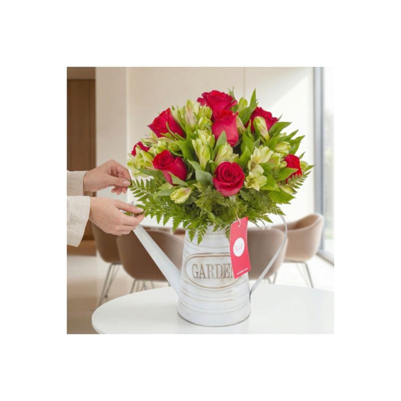Amor Rojo en Regadera - Imagen 1