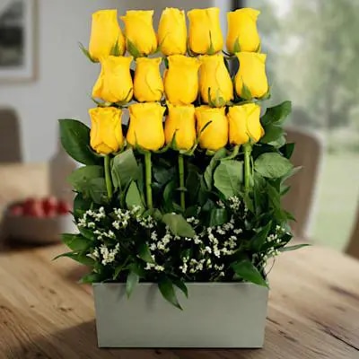 Rosas en serenata amarillo