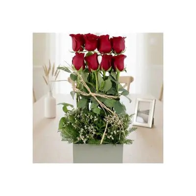 Rosas en serenata rojo