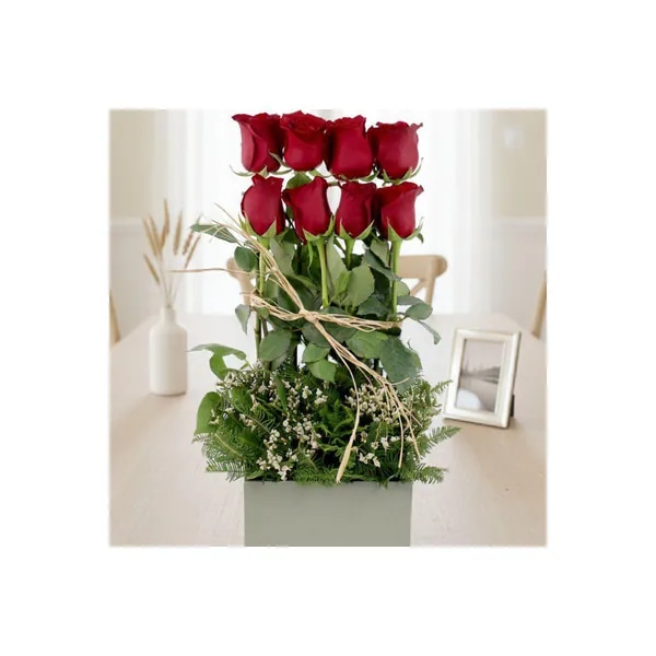 Rosas en serenata rojo