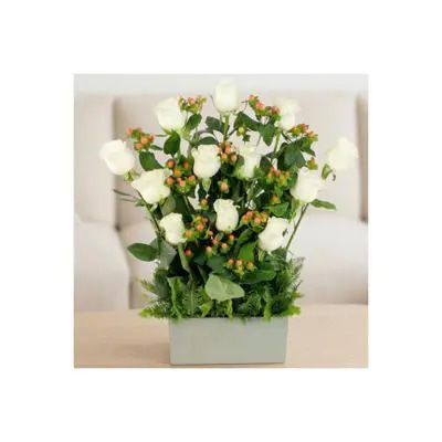 Jardín Rosas Blanco - Arreglo 12 rosas blanco e hypericum