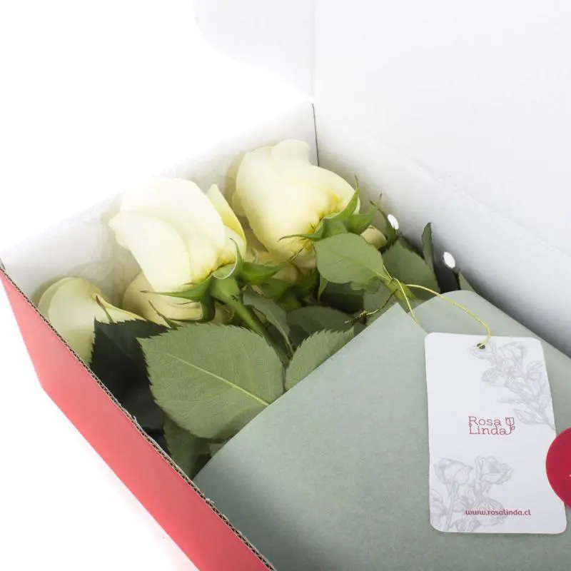 12 Rosas Blancas Flowerbox