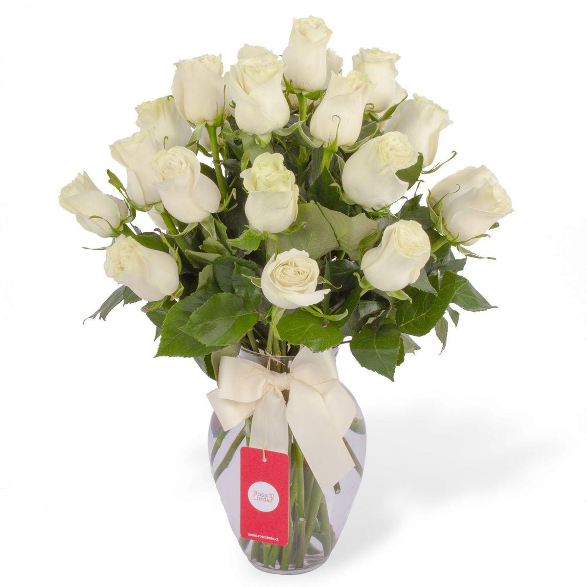 Amparo - florero ánfora con 24 rosas blancas - Imagen 1