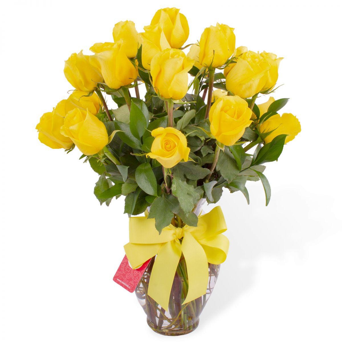 Amparo - florero ánfora con 24 rosas amarillas - Imagen 1