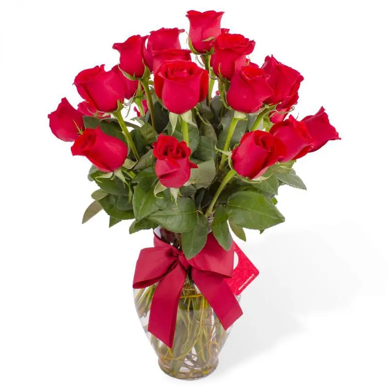 Amparo - florero ánfora con 24 rosas rojas