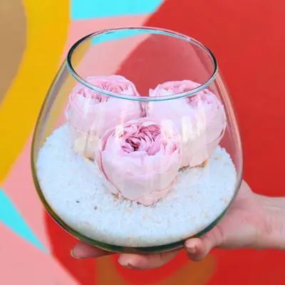 Peonías Naturales Preservadas - tres peonías rosado