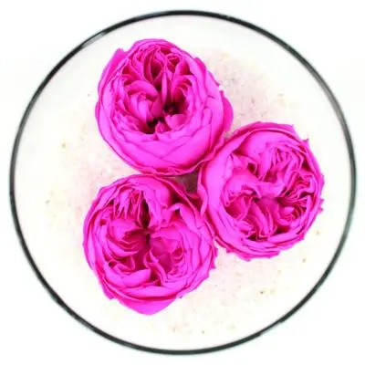 Peonías Naturales Preservadas - tres peonías fucsia