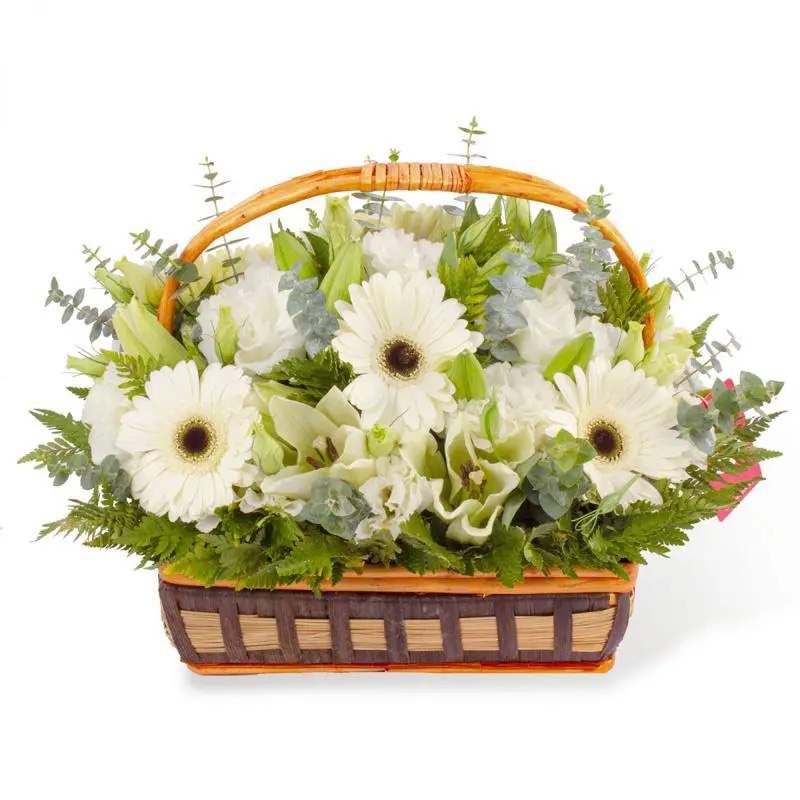 Canasto Blanco de Gerberas- Arreglo floral en canasto de mimbre con gerberas y liliums blancos