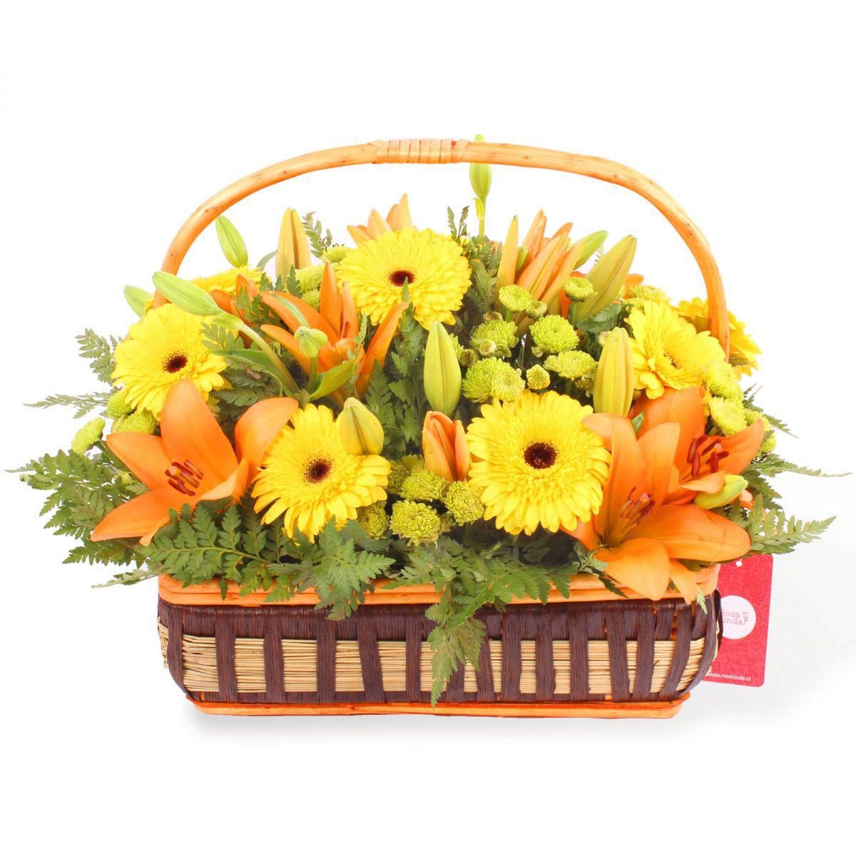 Canasto Yellow - Arreglo floral en canasto de mimbre con gerberas amarillas, liliums naranjos y maules amarillos - Imagen 1