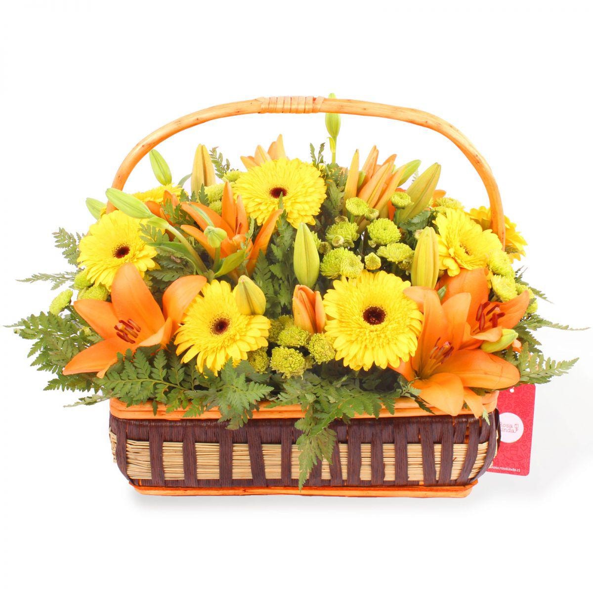 Canasto Yellow - Arreglo floral en canasto de mimbre con gerberas amarillas, liliums naranjos y maules amarillos - Imagen 1