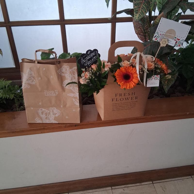Pedido 47509