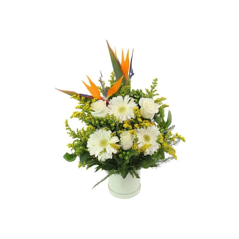 Fenix - Arreglo floral con gerberas y rosas blanco, ave del paraíso y solidago