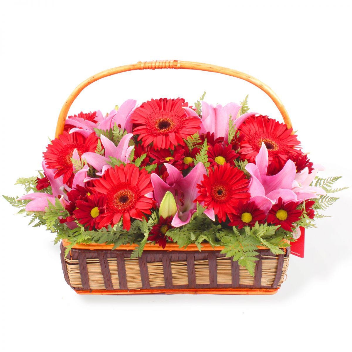 Canasto Red - Arreglo floral en canasto de mimbre con gerberas rojas, liliums rosados y maules rojos - Imagen 1