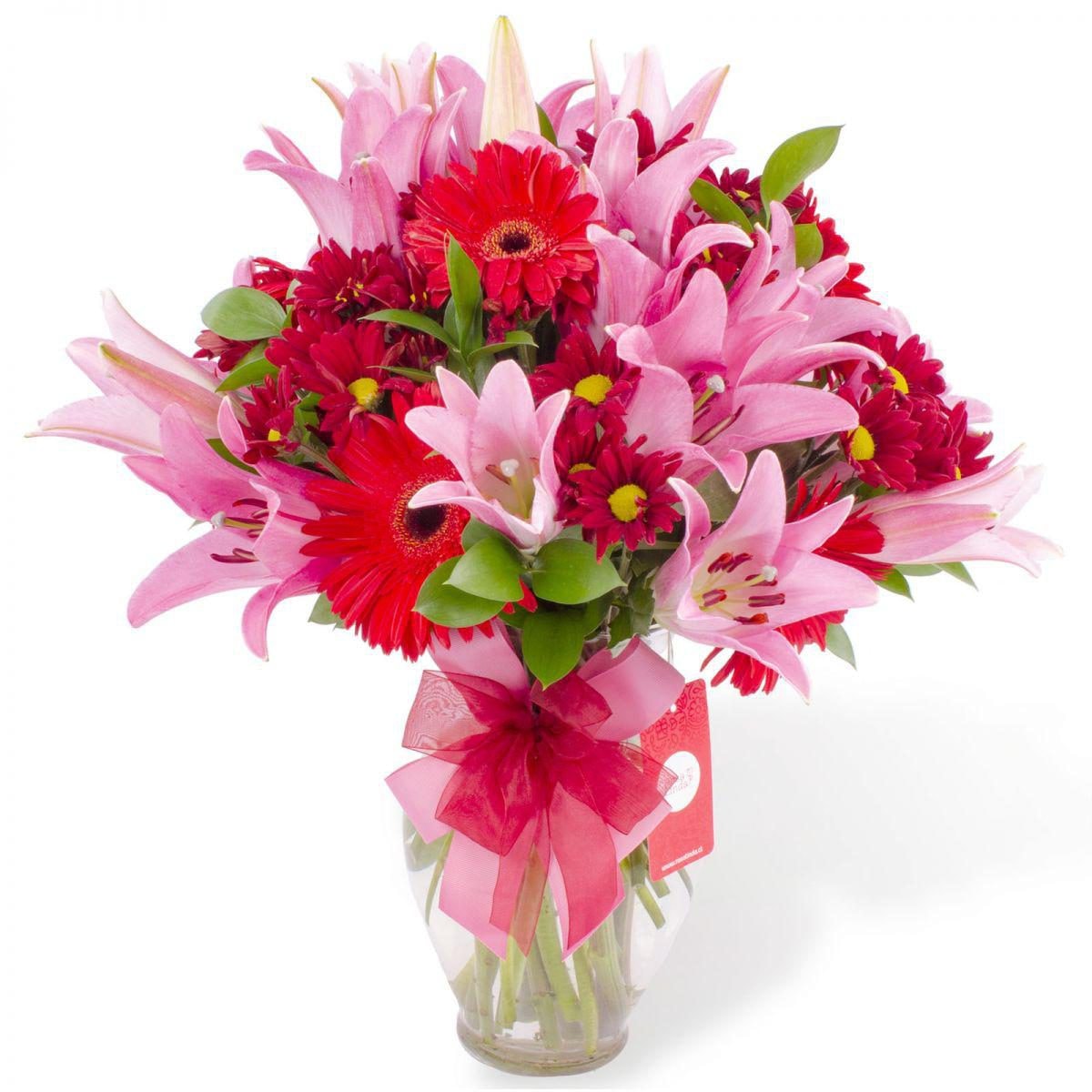 Sofía Rojo - Arreglo floral en florero ánfora con liliums rosados, gerberas rojas y maules rojos - Imagen 1