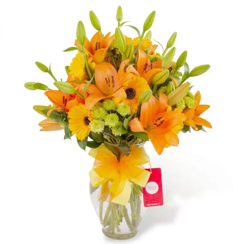 Sofía Amarillo - Arreglo floral en florero ánfora con liliums naranjos, gerberas amarillas y maules verdes