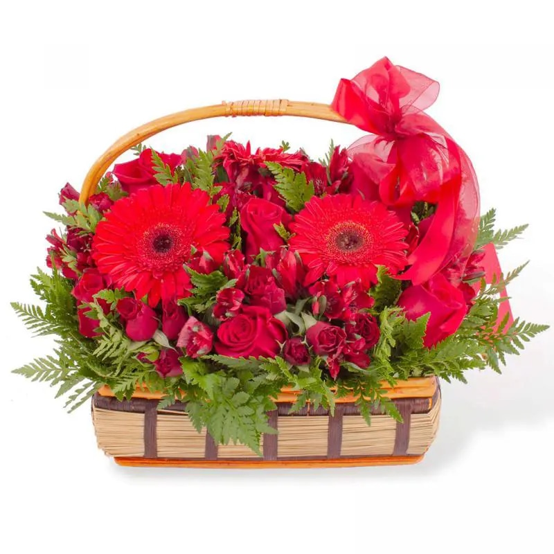 Constanza Rojo - Arreglo floral en canasto con gerberas, rosas, minirosas y astromelias rojas