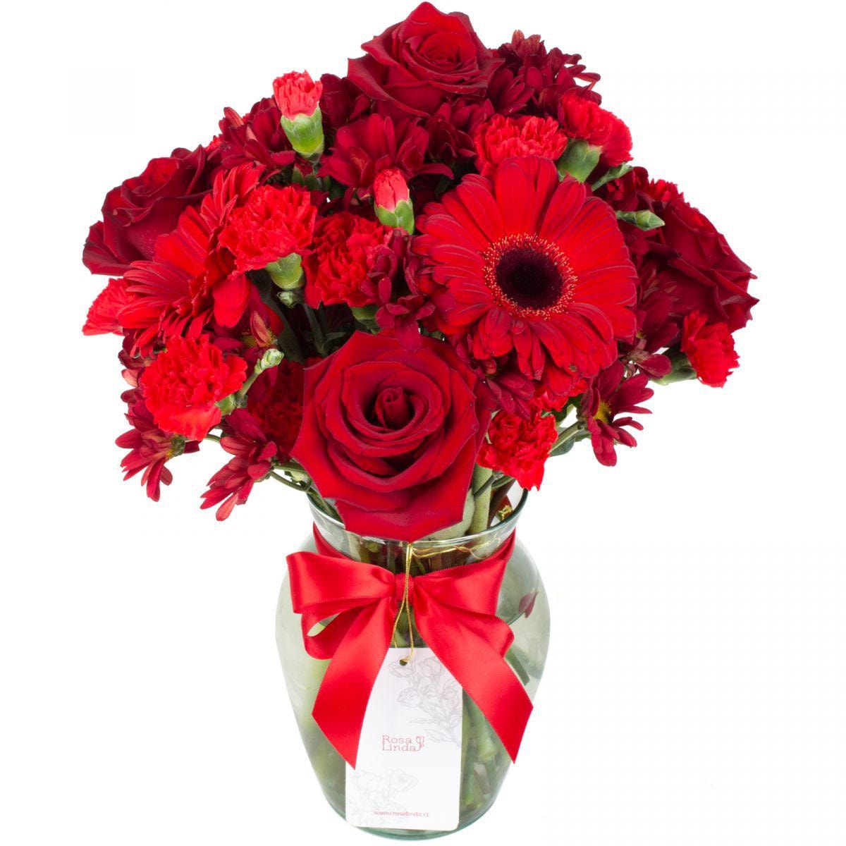 Brisa de pasión rojo - Florero transparente con gerberas, rosas y mini claveles - Imagen 1