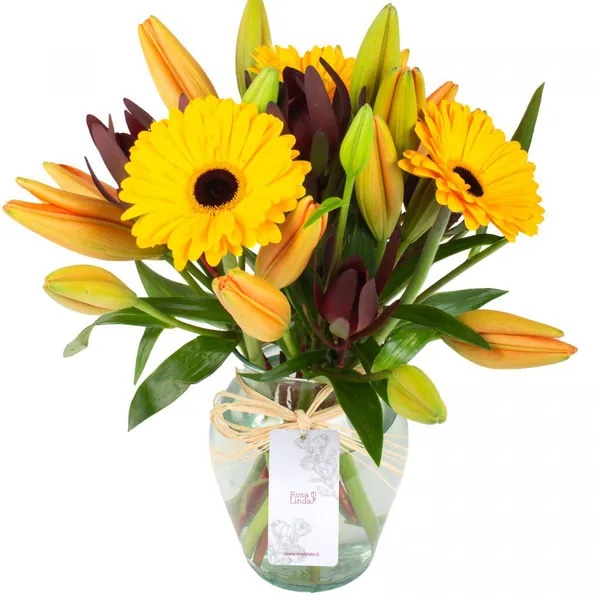 Rayen Amarillo Naranjo - Florero transparente con liliums naranjo, gerberas amarillas y leucadendros
