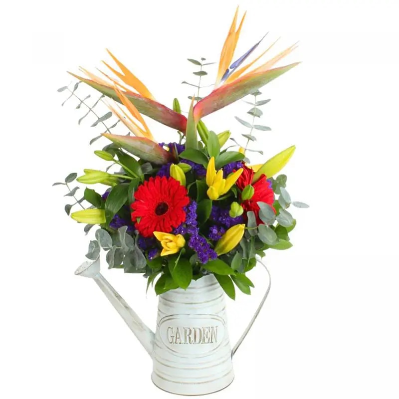 Abril en Regadera - Arreglo floral con gerberas rojas, liliums amarillos, aves del paraíso y statice morado