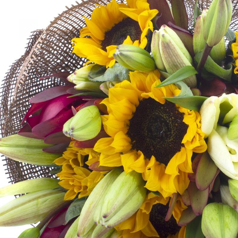 Saludo al Sol en Ramo - Ramo circular con liliums blancos, girasoles y leucadendros - Imagen 5