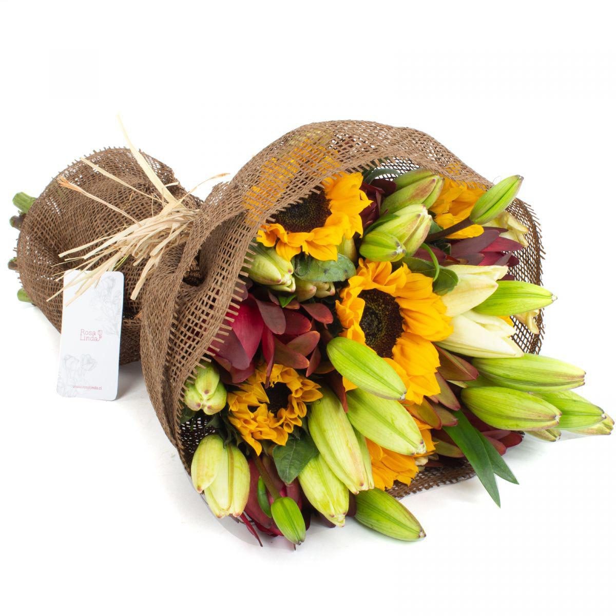 Saludo al Sol en Ramo - Ramo circular con liliums blancos, girasoles y leucadendros - Imagen 1