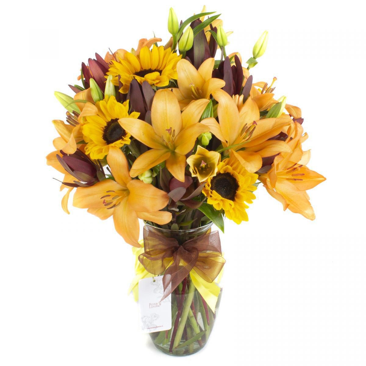 Saludo al sol naranjo - Ánfora con liliums naranjas, girasoles y leucadendros - Imagen 1