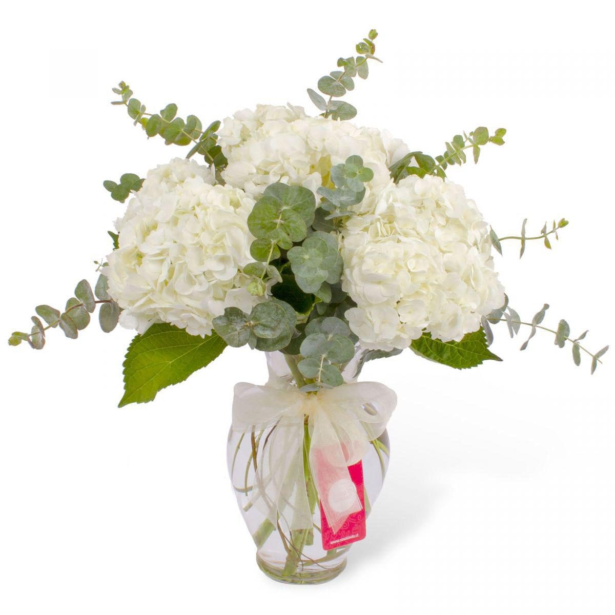 Amalia Blanco - Arreglo floral en florero ánfora con hortensias blancas y eucalyptus - Imagen 1