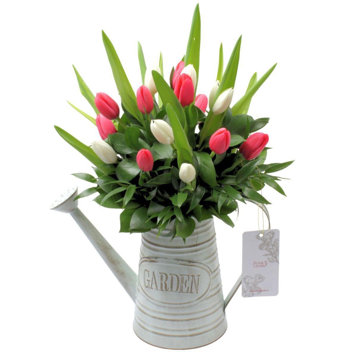 Regadera con Tulipanes - Arreglo floral en regadera con mix de tulipanes blanco y fucsia - Imagen 1