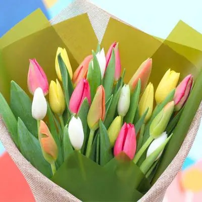 Ramo Tulipanes Multicolor - Ramo con 20 tulipanes multicolor