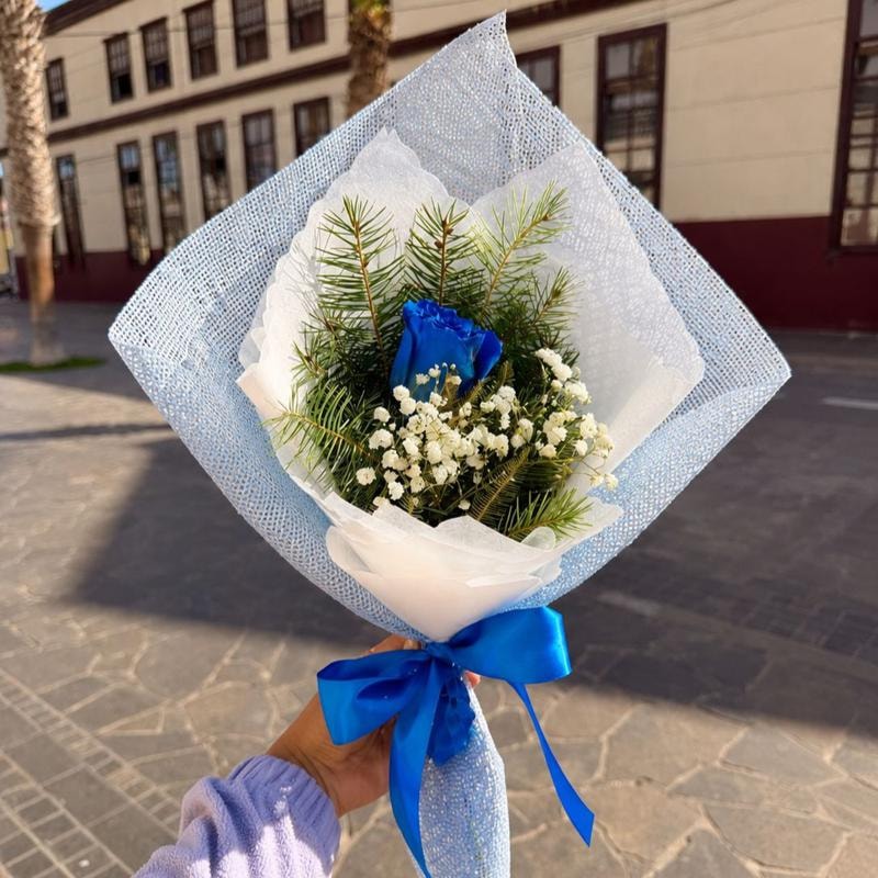 Rosa Clásica - Imagen 1