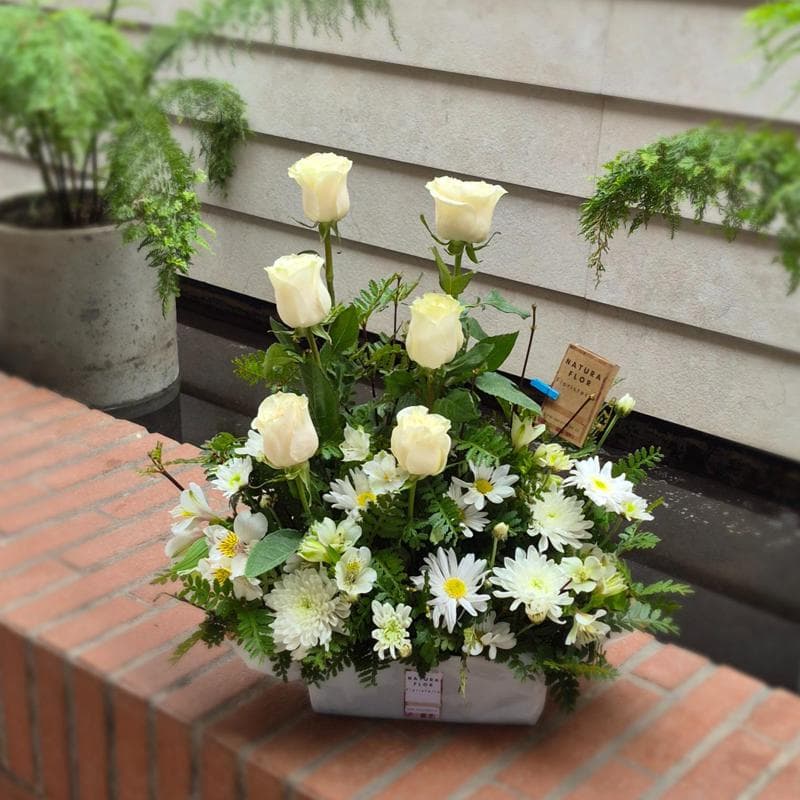 Pedido 41028