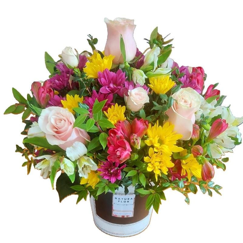 Primaveral - Imagen 1
