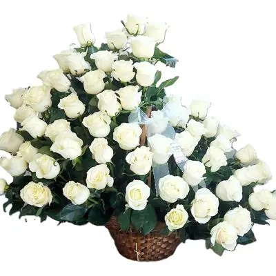 "Paz Eterna" - Arreglo de 60 Rosas Blancas para Condolencias