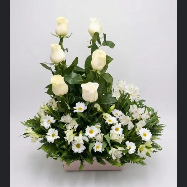 Cesta Fúnebre Standar