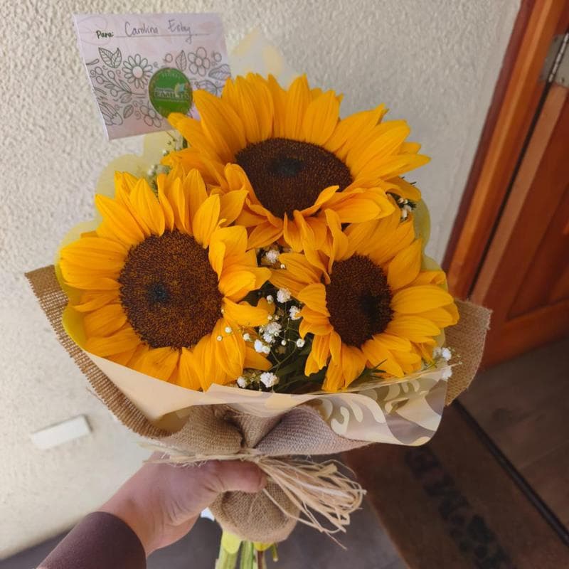 Pedido 46357