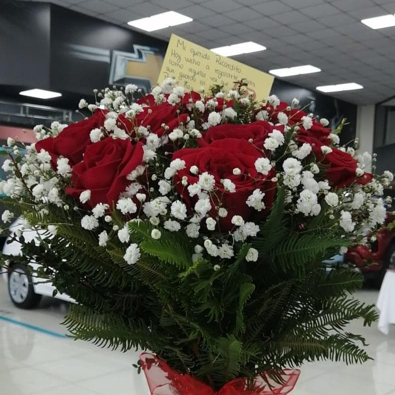 Pedido 10610