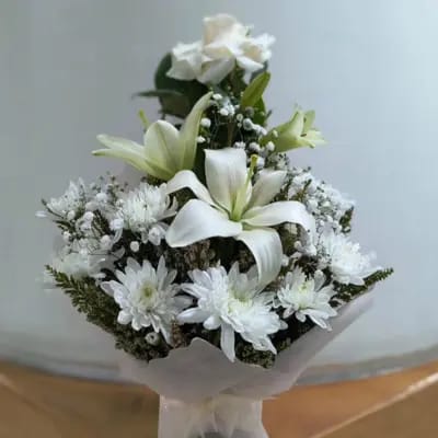 Ternura Blanca