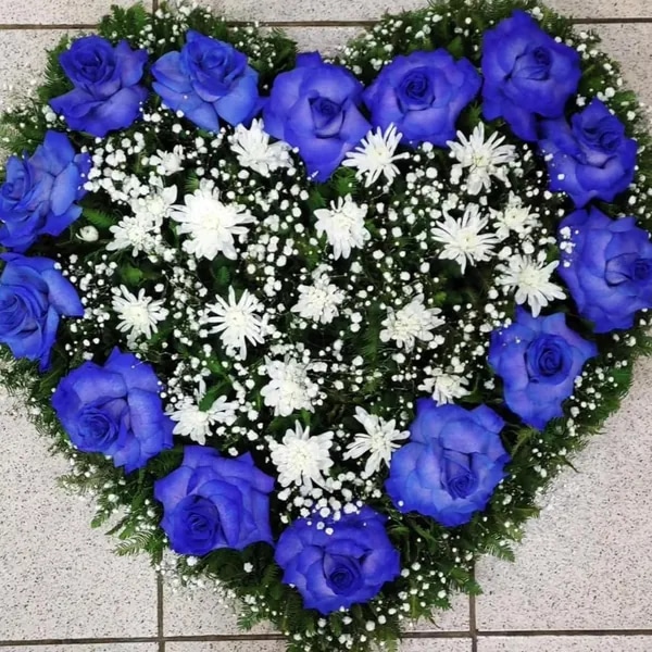 Aurora de Rosas Azul