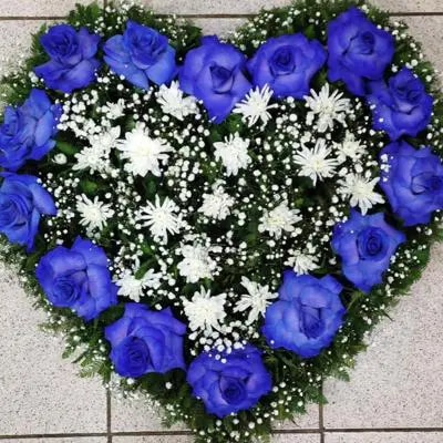 Aurora de Rosas Azul